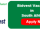 Bidvest Vacancies
