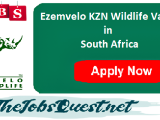 Ezemvelo KZN Wildlife Vacancies