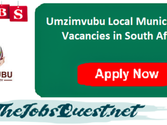 Umzimvubu Local Municipality Vacancies
