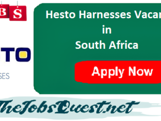 Hesto Harnesses Vacancies