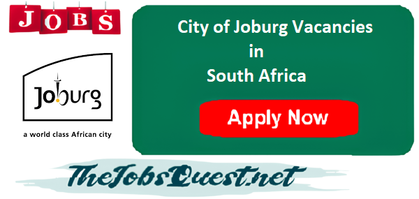 WORK IN JOBURG visual data 7