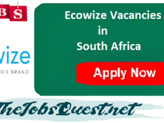 Ecowize Vacancies