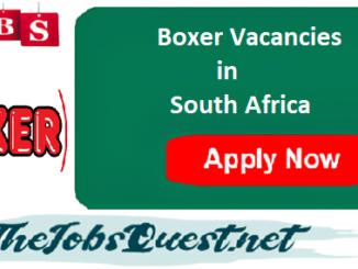 Boxer Vacancies