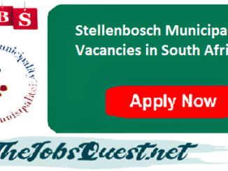 Stellenbosch Municipality Vacancies