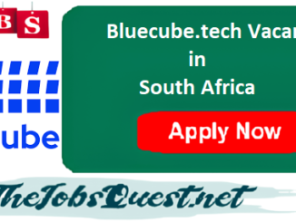 Bluecube.tech Vacancies