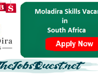 Moladira Skills Vacancies