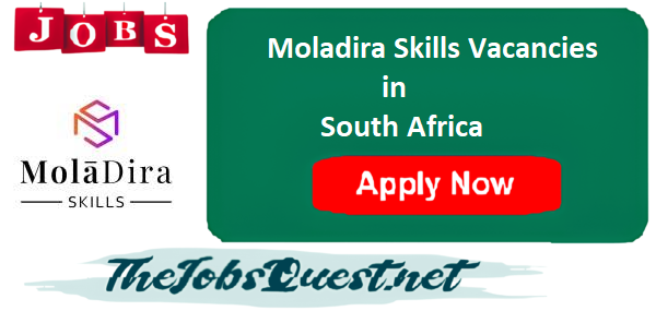 Moladira Skills Vacancies Moladira Skills Vacancies