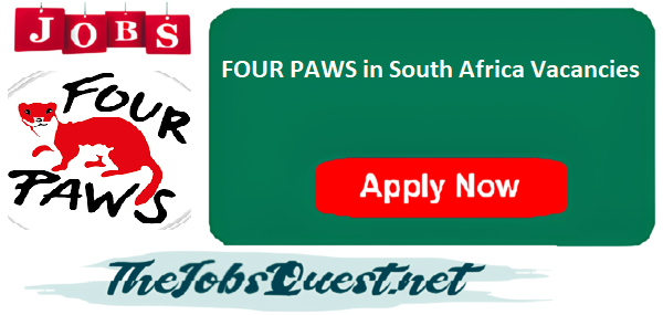 FOUR PAWS in South Africa Vacancies FOUR PAWS in South Africa Vacancies