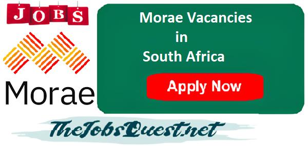 Morae Vacancies