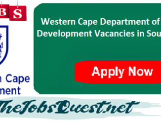 Western Cape Department of Social Development Vacancies