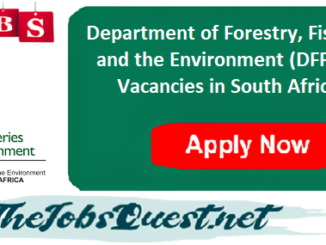 DFFE Vacancies