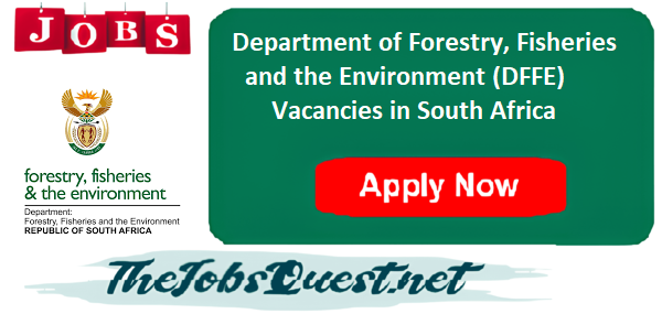 DFFE Vacancies