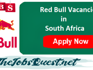 Red Bull Vacancies